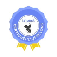 Guêpes et frelons