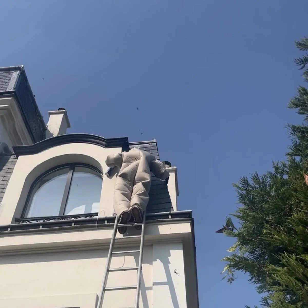 Intervention frelons asiatiques en hauteur
